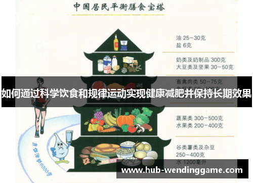 如何通过科学饮食和规律运动实现健康减肥并保持长期效果