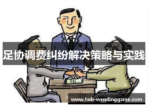 足协调费纠纷解决策略与实践