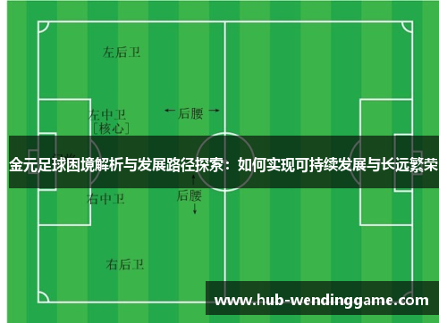 金元足球困境解析与发展路径探索:如何实现可持续发展与长远繁荣 金元足球困境解析与发展路径探索:如何实现可持续发展与长远繁荣