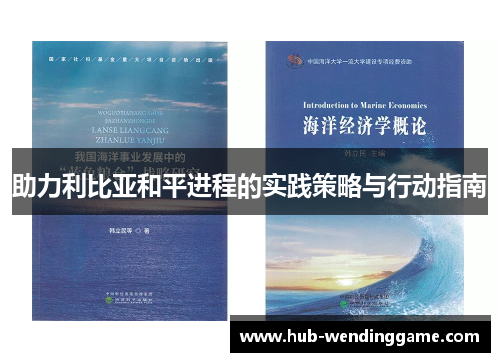助力利比亚和平进程的实践策略与行动指南 助力利比亚和平进程的实践策略与行动指南