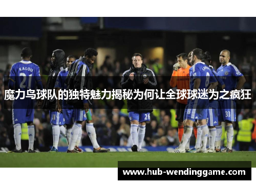 魔力鸟球队的独特魅力揭秘为何让全球球迷为之疯狂