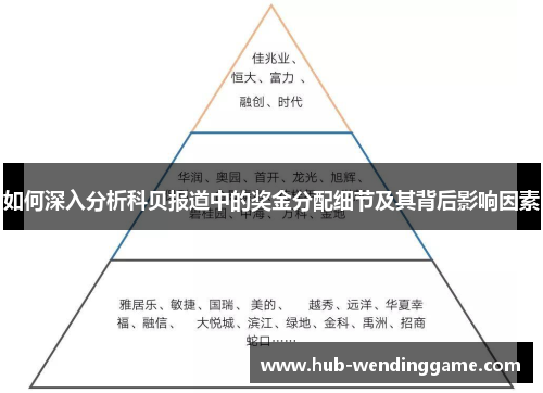如何深入分析科贝报道中的奖金分配细节及其背后影响因素