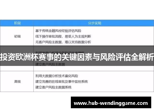 投资欧洲杯赛事的关键因素与风险评估全解析